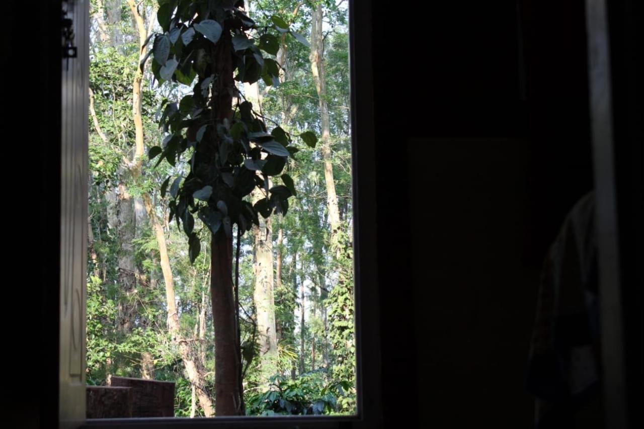 Kaikane Homestay Madikeri Exterior foto